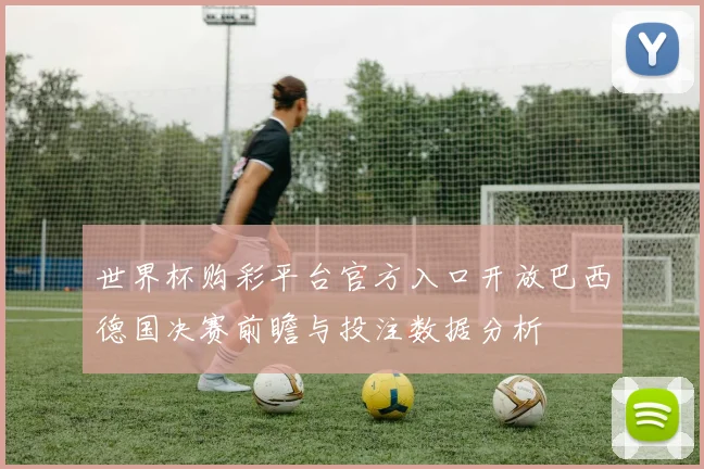 世界杯购彩平台官方入口开放巴西德国决赛前瞻与投注数据分析