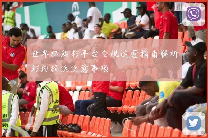 世界杯购彩平台合规运营指南解析彩民投注注意事项